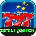 all cricket match Turbo Pro v1.2.8