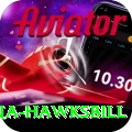antigua hawksbill Ultimate Pro v4.4.9