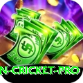 australian cricket Ultimate Gaming App