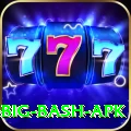 bbl big bash apk Premium Edition v5.9.2