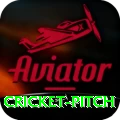 cricket pitch Plus v3.1.9