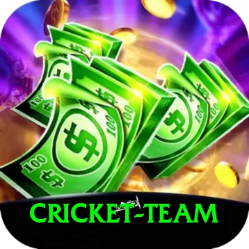 cricket team Pro Edition v5.6.9 - 2
