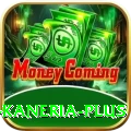 danish kaneria Casino Official v5.2.8