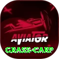 grass carp Games (Casino & Earning) Master v1.3.1
