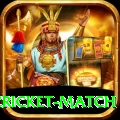 india pakistan cricket match Deluxe v2.9.6