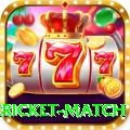 international cricket match VIP Edition v5.5.8