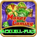 king mackerel Max Latest v1.0.1