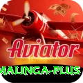 lasith malinga Mega APK v2.3.1