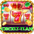 netherlands cricket team Premium Plus v1.9.0