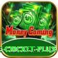 online cricket Slots Mega v3.6.6
