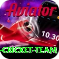 pakistan women cricket team Plus v3.9.7