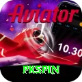 pkspin Pro v4.5.5