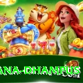 pothana dhampus Premium Edition v5.6.3