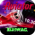 sehwag Master v5.5.3