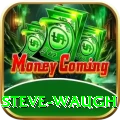 steve waugh Premium Plus v1.5.9