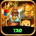 t20 Pro Edition v5.6.4