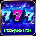 t20 match Deluxe Edition v1.4.9