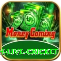 watch live cricket Games (Casino & Earning) Premium v4.0.1