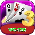 wc t20 Pro Edition v5.2.2