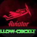 willow cricket Premium v3.6.1
