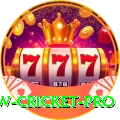 willow cricket Elite - Free Download